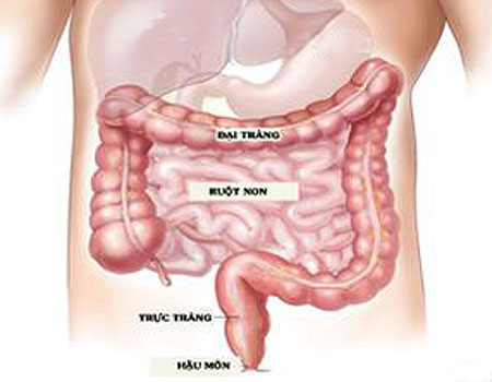 triệu chứng đi cầu ra máu